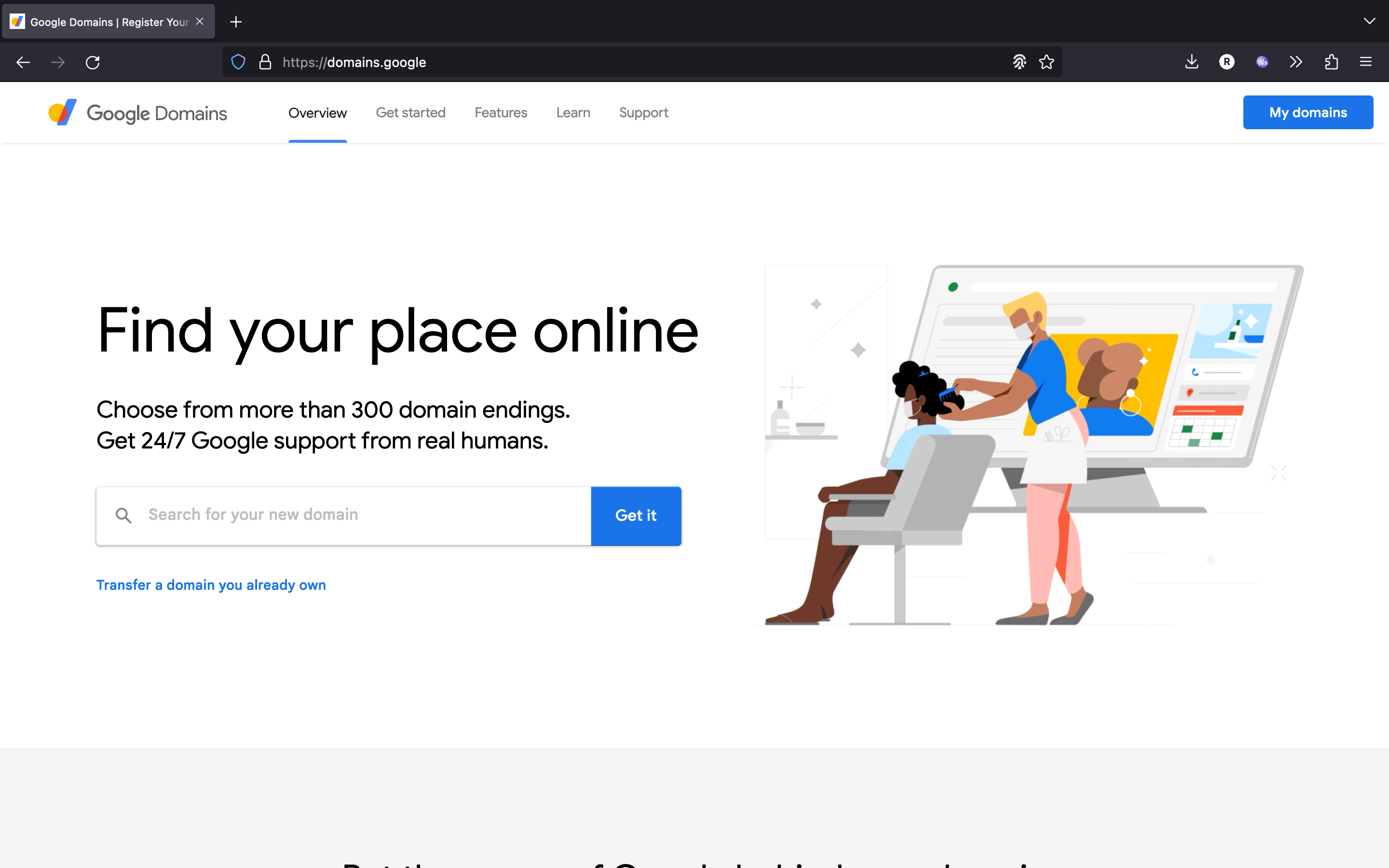 Google Domains login page