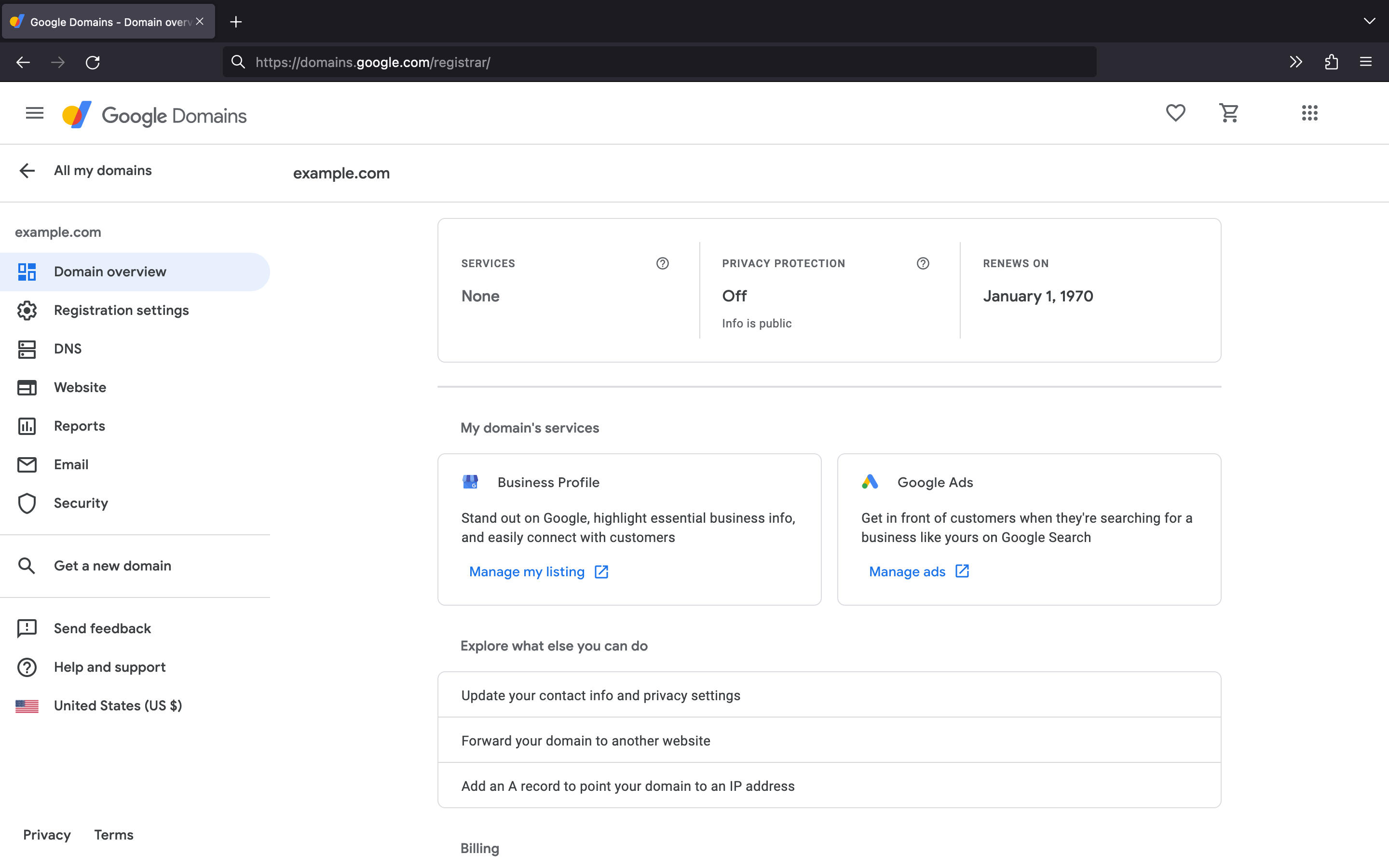 Google Domains manage domain page